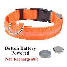 Load image into Gallery viewer, USB Rechargeable Pet Dog LED Glowing Collar
