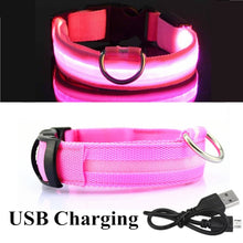 Load image into Gallery viewer, USB Rechargeable Pet Dog LED Glowing Collar
